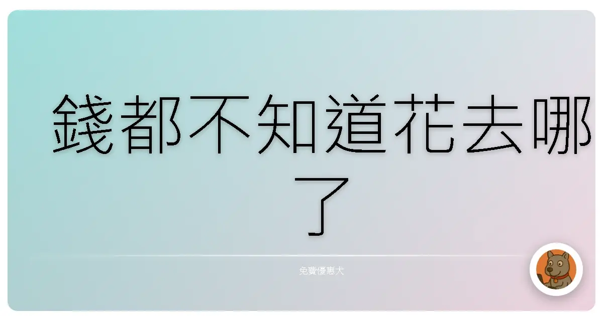 錢都不知道花去哪了